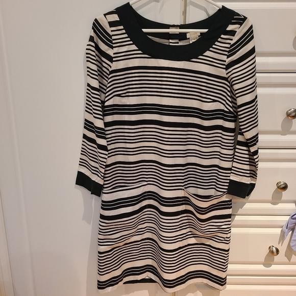 J Crew Navy Stripe Shift Dress - Picture 4 of 6